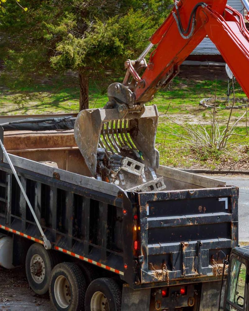 Excavatrice